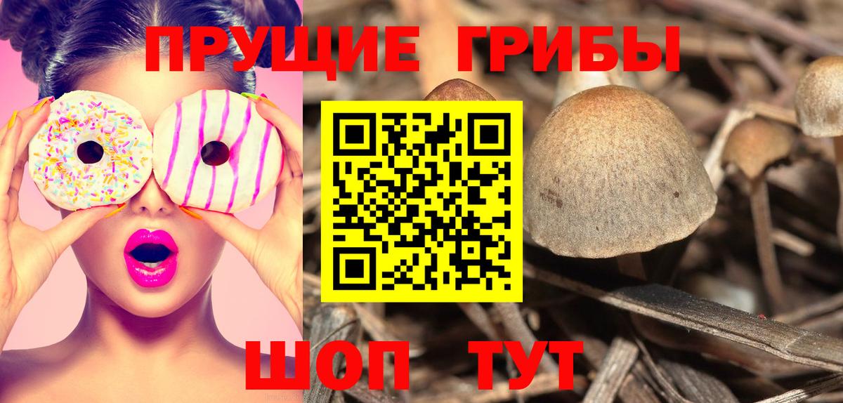 Еманжелинск  Псилоцибиновые грибы Magic Shrooms  Вход с VPN 